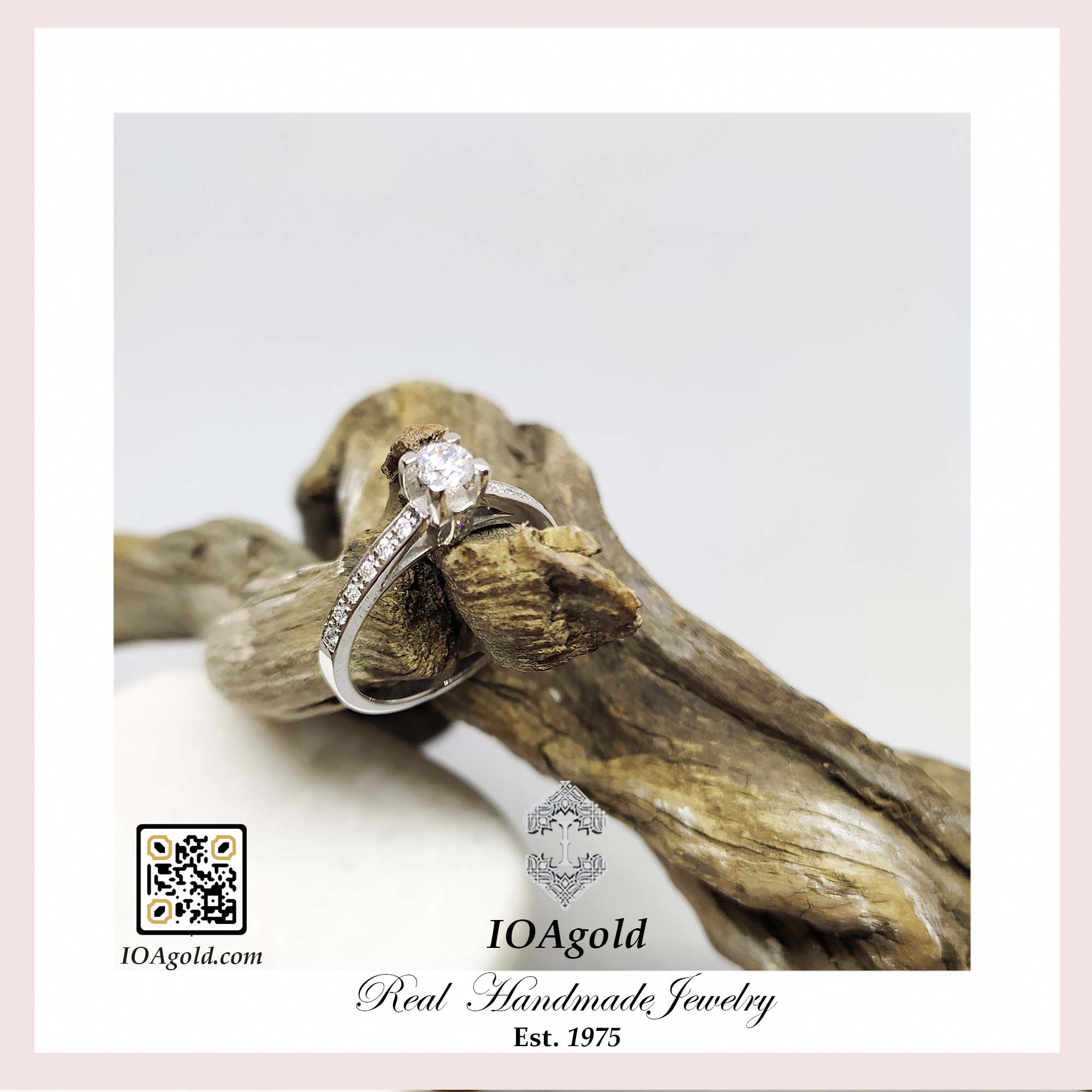 DM-10 g -IOA – DM-10 g -IOA –