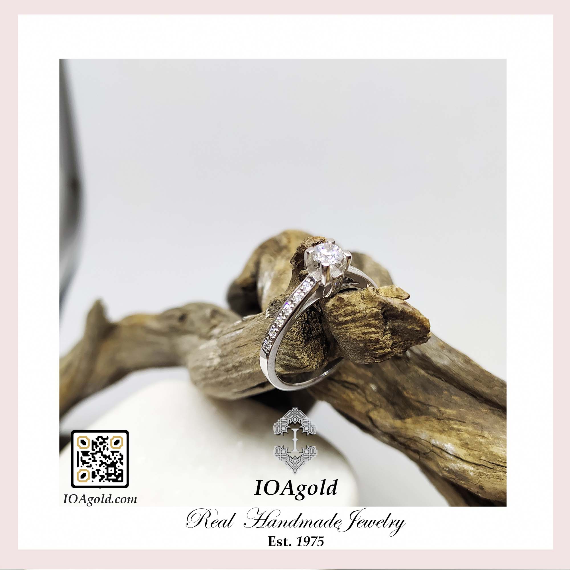 DM-10 h -IOA – DM-10 h -IOA –